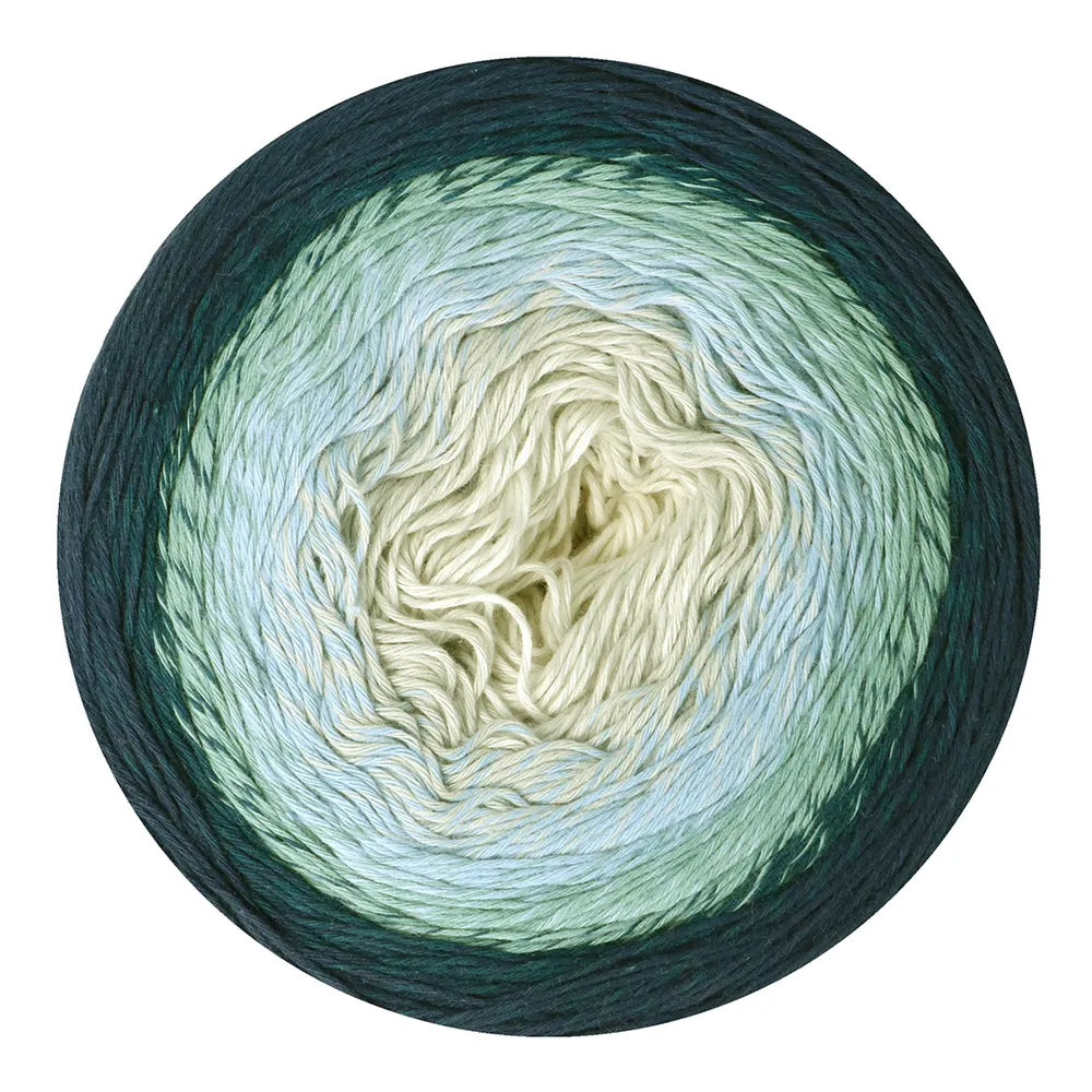 Scheepjes Cotton Whirl Blueberry Swirl (731)