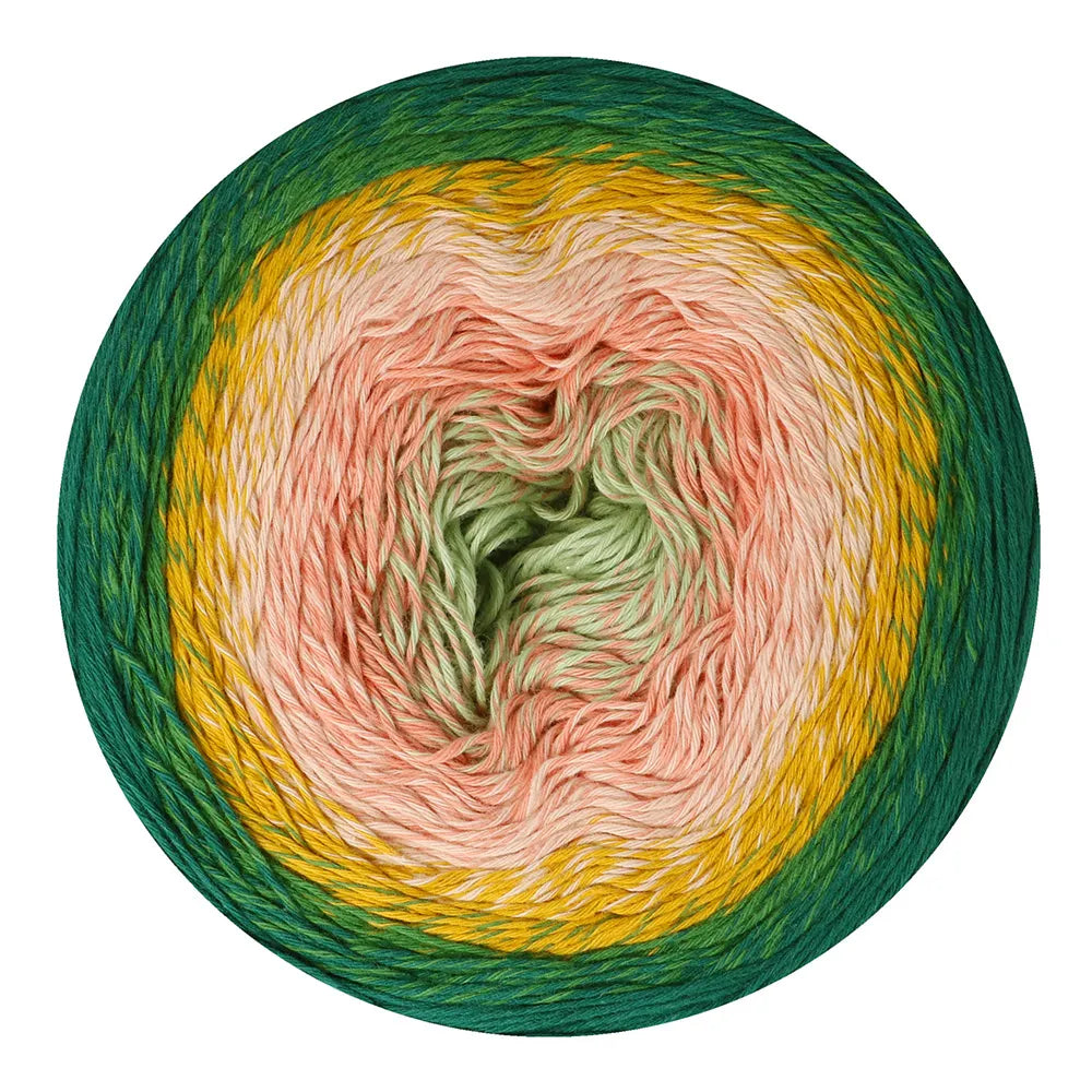 Scheepjes Cotton Whirl Colour Me Crafty (732)