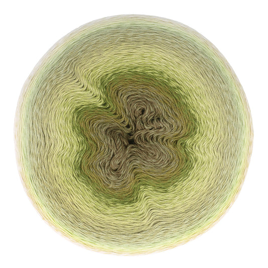 Scheepjes Mega Whirl Moodychrome (401)