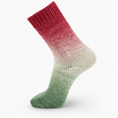 Katia Concept 4 Ply Symmetric Socks and More Christmas Santa's Sleigh (101)
