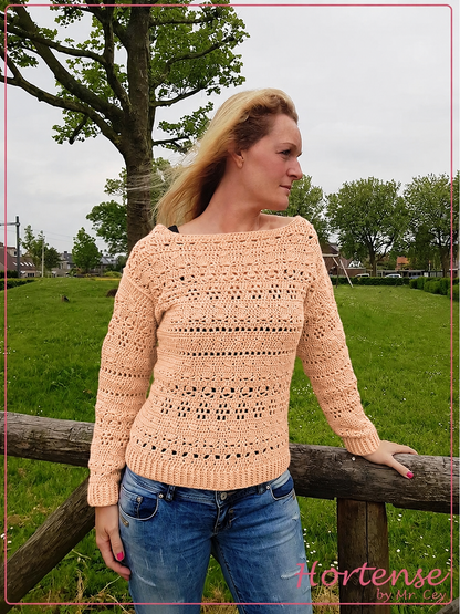 Sweater of Hortense Trui Lichts ZALM (DIVA)